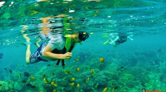 リーフクルーズ _07